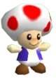 SM64 toad