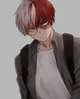 shoto todoroki