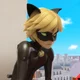 cat noir