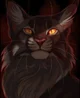 TigerStar