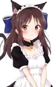 Tsundere Neko Maid