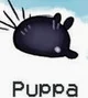 Puppa