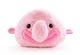 Blobfish