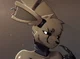 Springtrap woman
