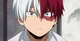 Shoto Todoroki