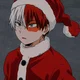 Shoto Todoroki 