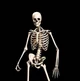 Mr Skelly
