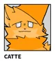 Catte