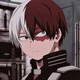 Shoto Todoroki 