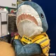 Shark Assistant