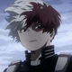 Shoto Todoroki
