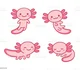 Axolotl