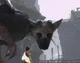Trico