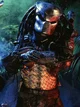 Predator Male
