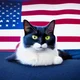 American Cat
