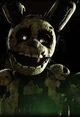 Spring trap