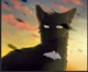 RavenPaw