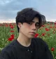 Benji Krol
