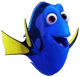 Dory