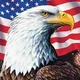 American Patriot