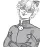 Cat Noir
