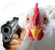 A Chicken With A Gun