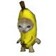 Banana cat 