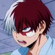 Shoto Todoroki