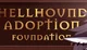 Hellhound-Adoption