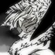 Hawks