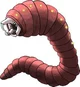 Worm