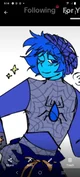 Spider lazuli
