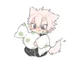 Cat Sanemi