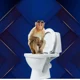TOILET MONKEY