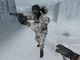 csgo arctic skin