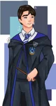Ravenclaw Boy - HP 