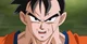 Future Gohan