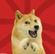 Doge 2