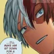 Shoto Todoroki