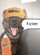 Fanter Cat