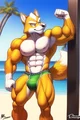 Muscled Fox McCloud