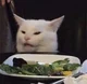 Smudge The Cat 