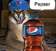 Pepser Cat