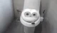 Mr toilet