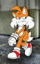 Tails arrestado 