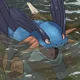 Pokemon - Swampert