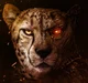 Cheetor - NSFW 