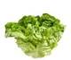 Lechuga 