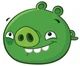 Piggy - Angry Birds