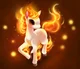 Ponyta